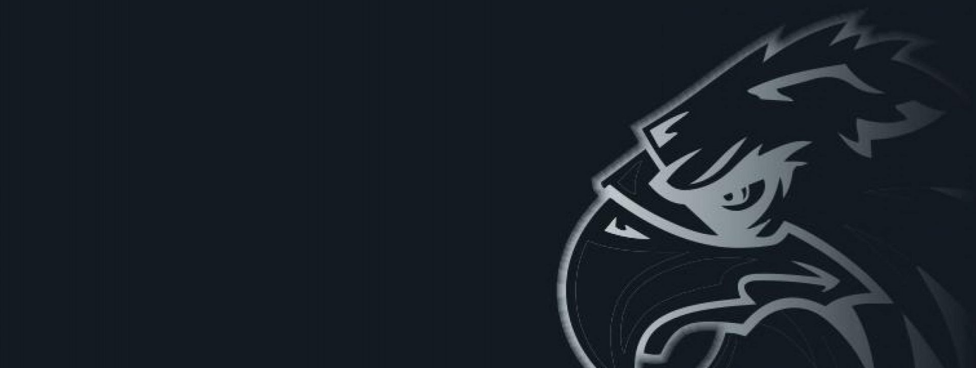 HOME Hamburg Hawks InlineSkaterhockey Hamburg